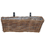 Cesta Colgante para Plantas 2 pcs Gris 48 x 22 x 15 cm