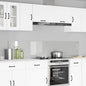 Kitchen Splashback 2 pcs 100 x 50 cm Tempered Glass