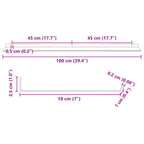 Estante flotante 2 pcs 100 x 18 x 2,5 cm Acero