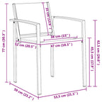 Sillas de jardín 2 pcs Negro y Antracita 53,5 x 59 x 77 cm