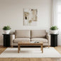 Plant Stand 2 pcs Glossy 29.5 x 29.5 x 60 cm
