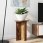 Plant Stand 2 pcs Glossy 29.5 x 29.5 x 60 cm