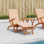 Recliner and foldable sun lounger 2 pcs 55 x 146 x 91 cm