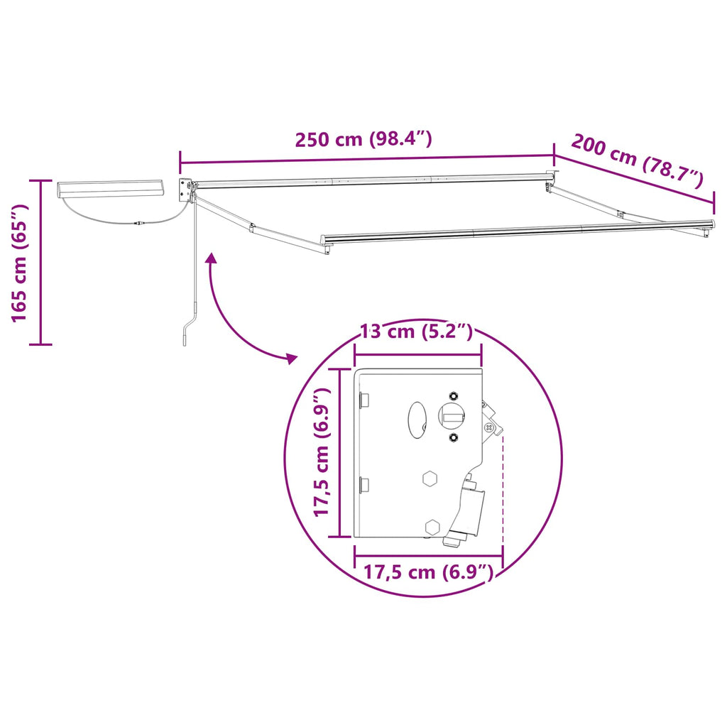 Estructura de toldo retráctil eléctrico 2,5 x 2 m Acero