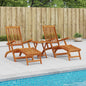 Recliner and foldable sun lounger 2 pcs 55 x 146 x 91 cm