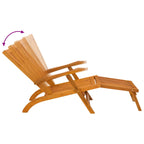 Recliner y tumbona plegable 2 pcs 55 x 146 x 91 cm