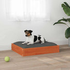 Cama para perro Marrón cera 51,5 x 44 x 9 cm