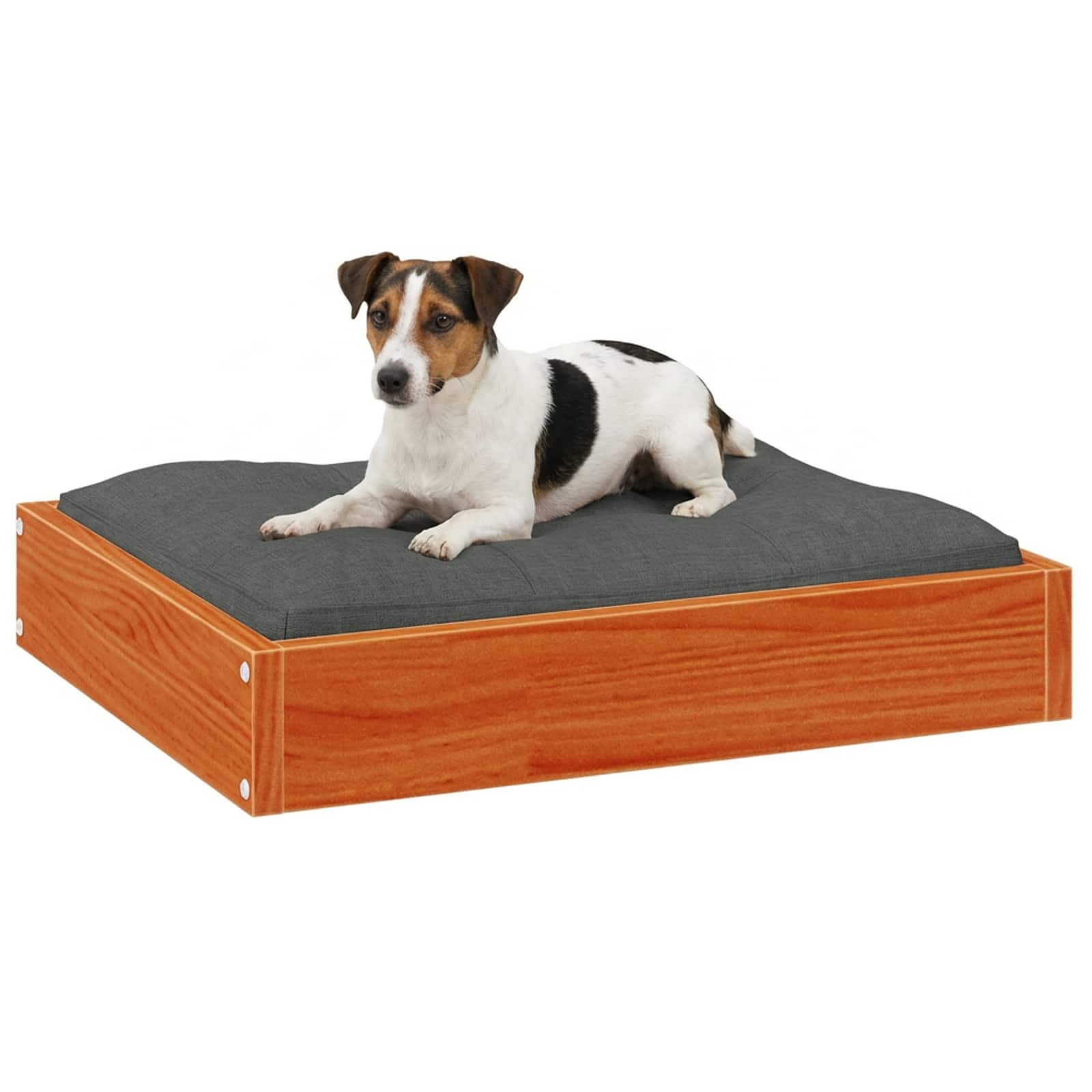 Cama para perro Marrón cera 51,5 x 44 x 9 cm