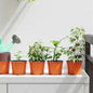 Maceta de flores 100 pcs Negro Ø 15 x 13 cm Plástico