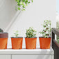 Maceta de flores 100 pcs Negro Ø 15 x 13 cm Plástico