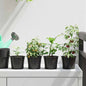 Maceta de flores 100 pcs Negro Ø 15 x 13 cm Plástico
