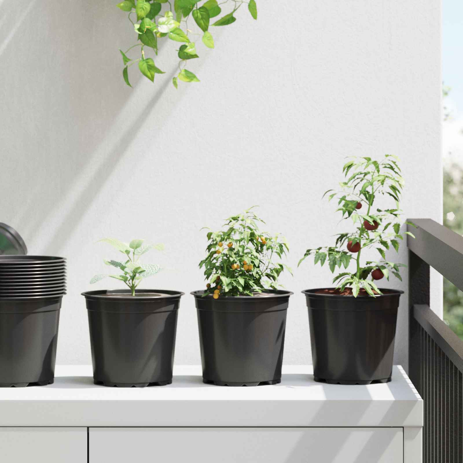 Maceta de flores 100 pcs Negro Ø 15 x 13 cm Plástico