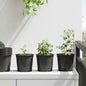 Maceta de flores 100 pcs Negro Ø 15 x 13 cm Plástico