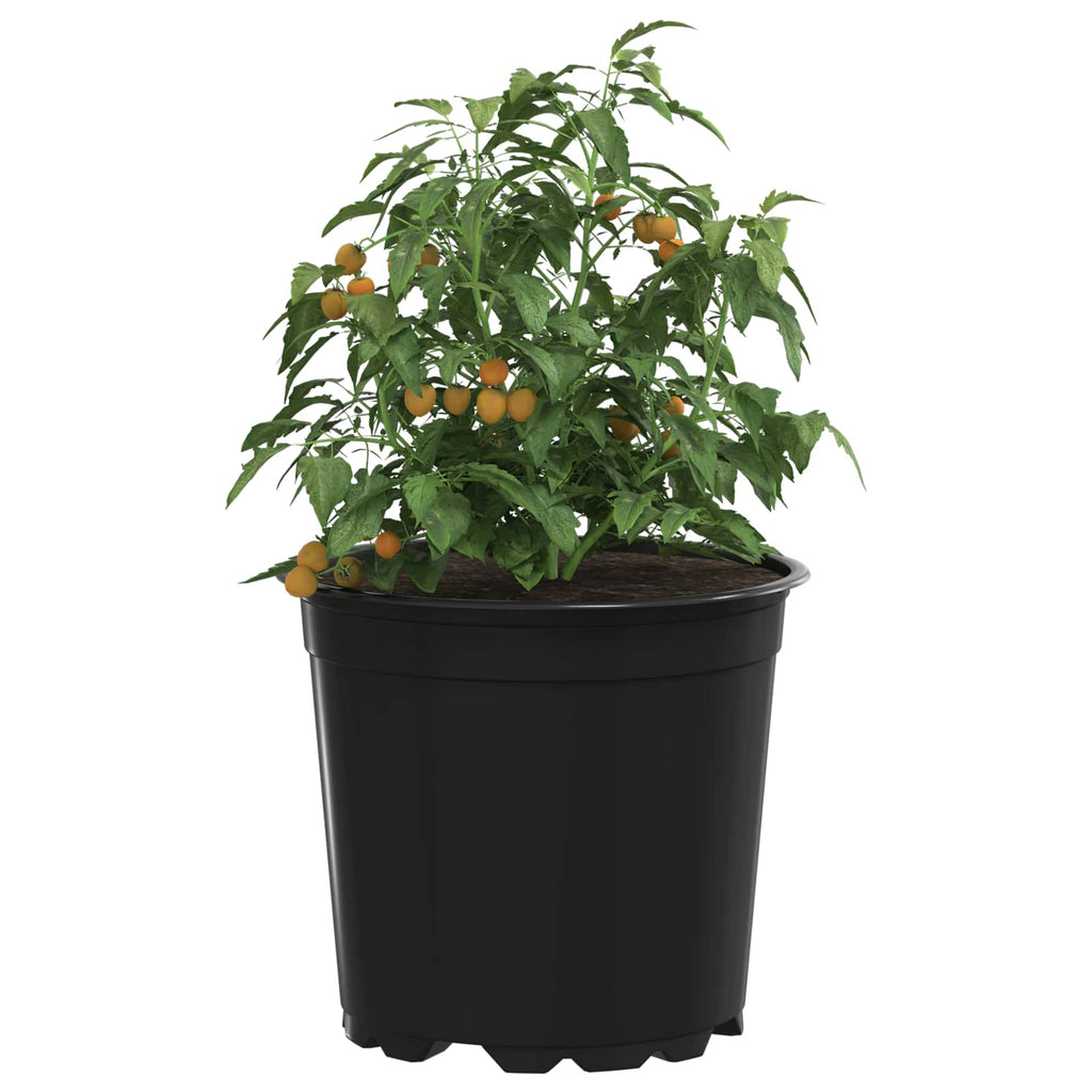 Maceta de flores 100 pcs Negro Ø 15 x 13 cm Plástico