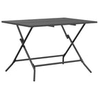 Juego de muebles de exterior 5 pcs Antracita Hierro y Acero