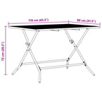 Juego de muebles de exterior 5 pcs Antracita Hierro y Acero