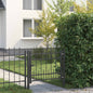 Puerta de cerca HORST 100 x 75 cm Metal Negro Con cerradura