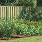 Green Chain Link Fence 2 x 10 m Steel
