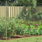 Galvanized Chain Link Fence 2 x 10 m Clear
