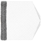 Cerca de eslabones de cadena Galvanizado 2 x 10 m Cristal