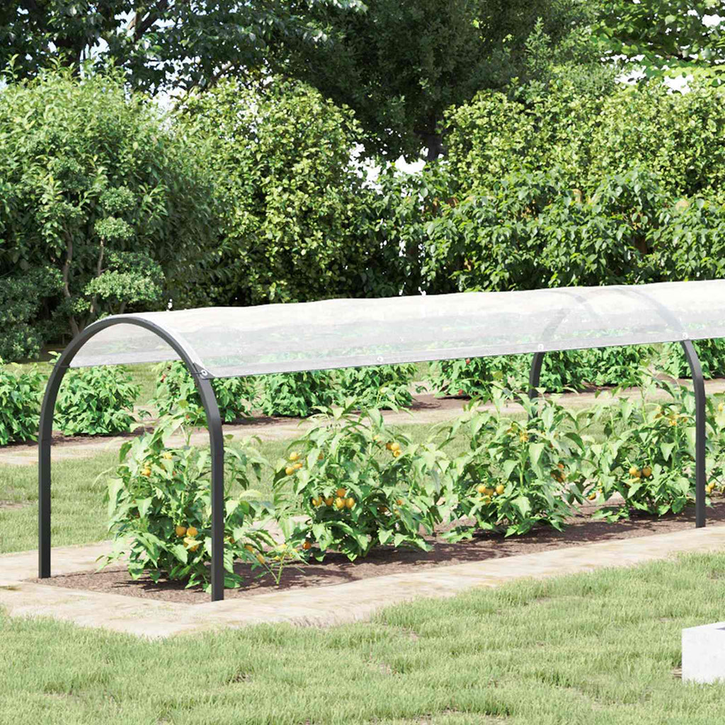 Cubierta para plantas Transparente 1 x 12 m PE