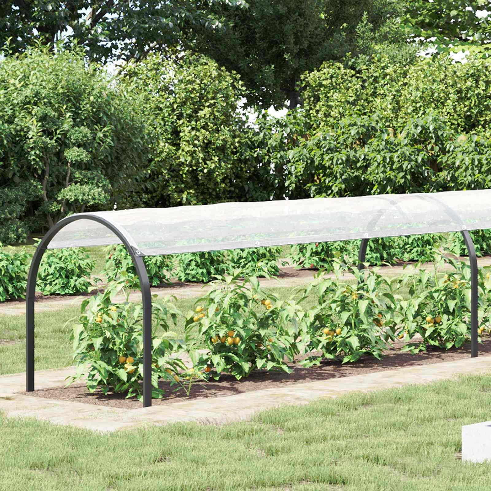 Cubierta para plantas Transparente 1 x 12 m PE