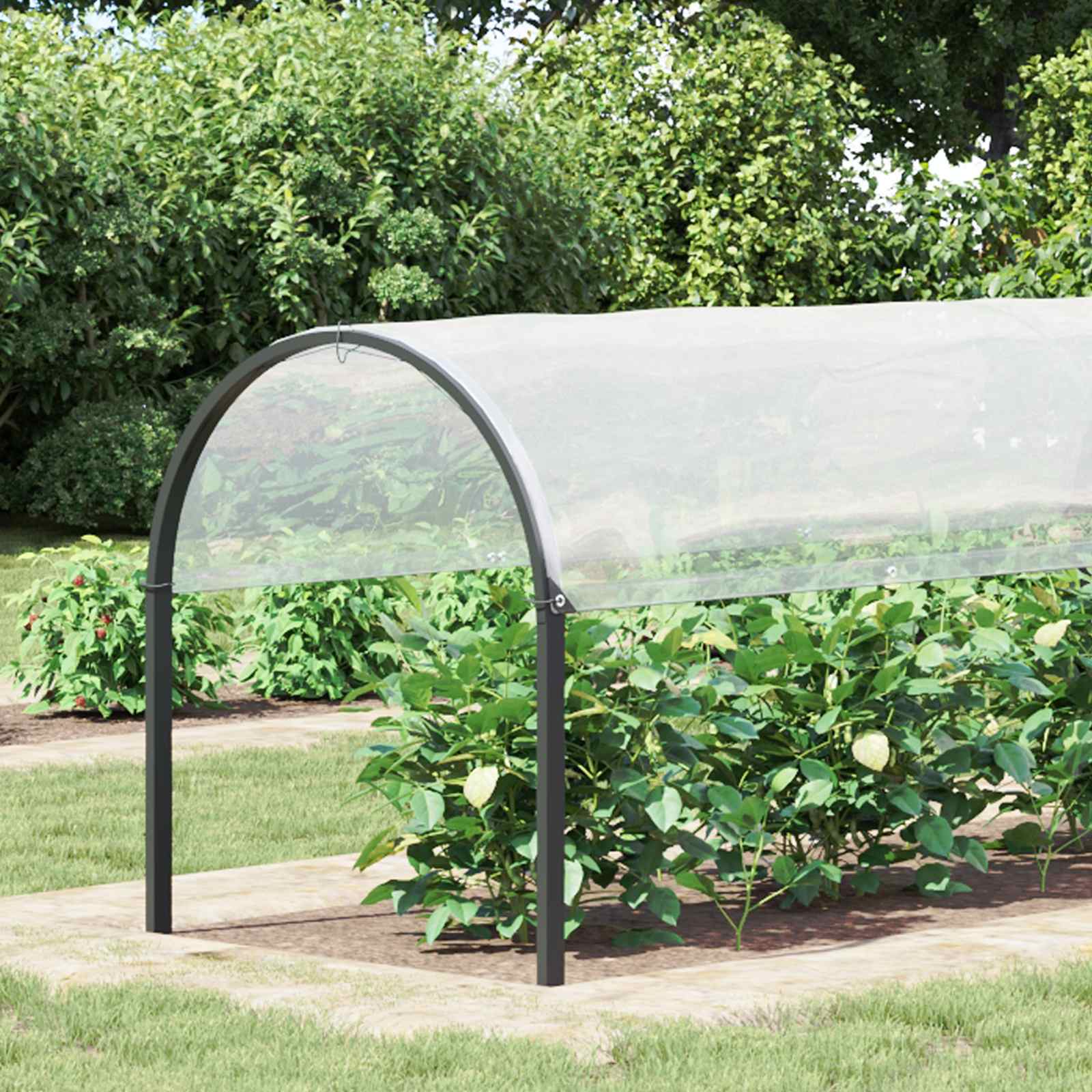 Transparent Plant Cover 1 x 12 m PE