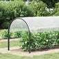 Cubierta para plantas Transparente 1 x 12 m PE