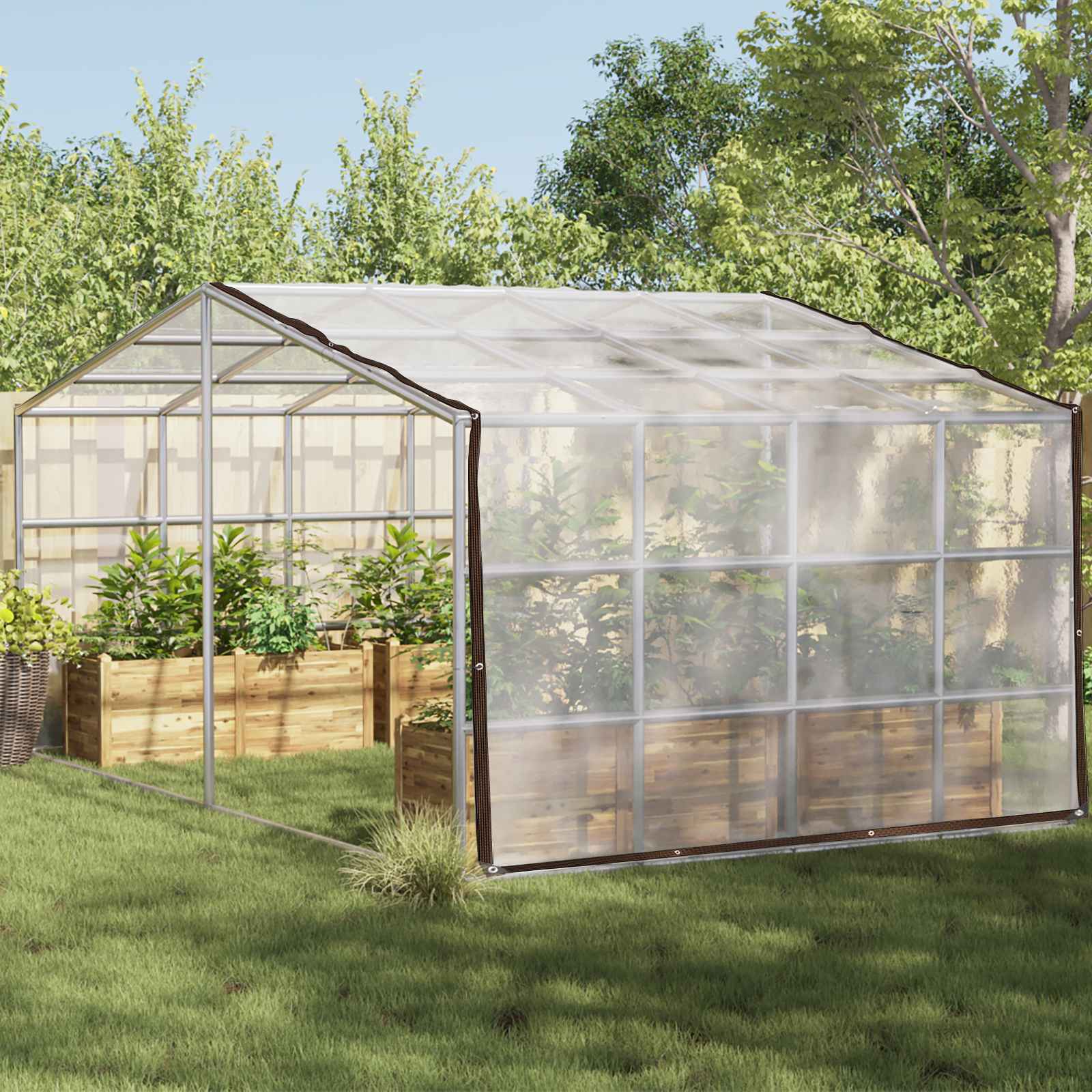 Transparent Plant Cover 1 x 12 m PE