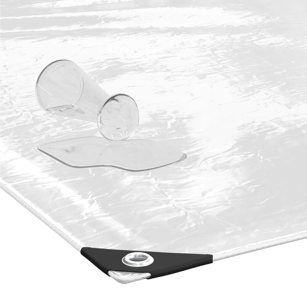 Cubierta para plantas Transparente 1 x 12 m PVC