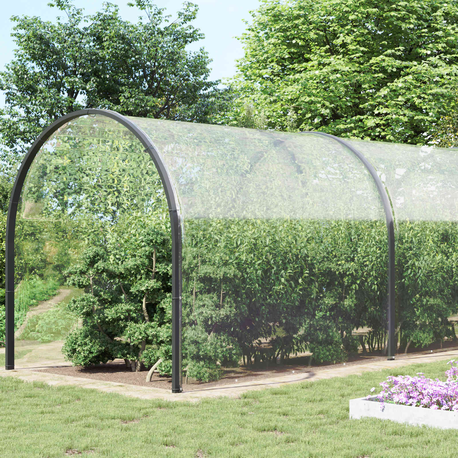 Transparent Plant Cover 1 x 12 m PVC