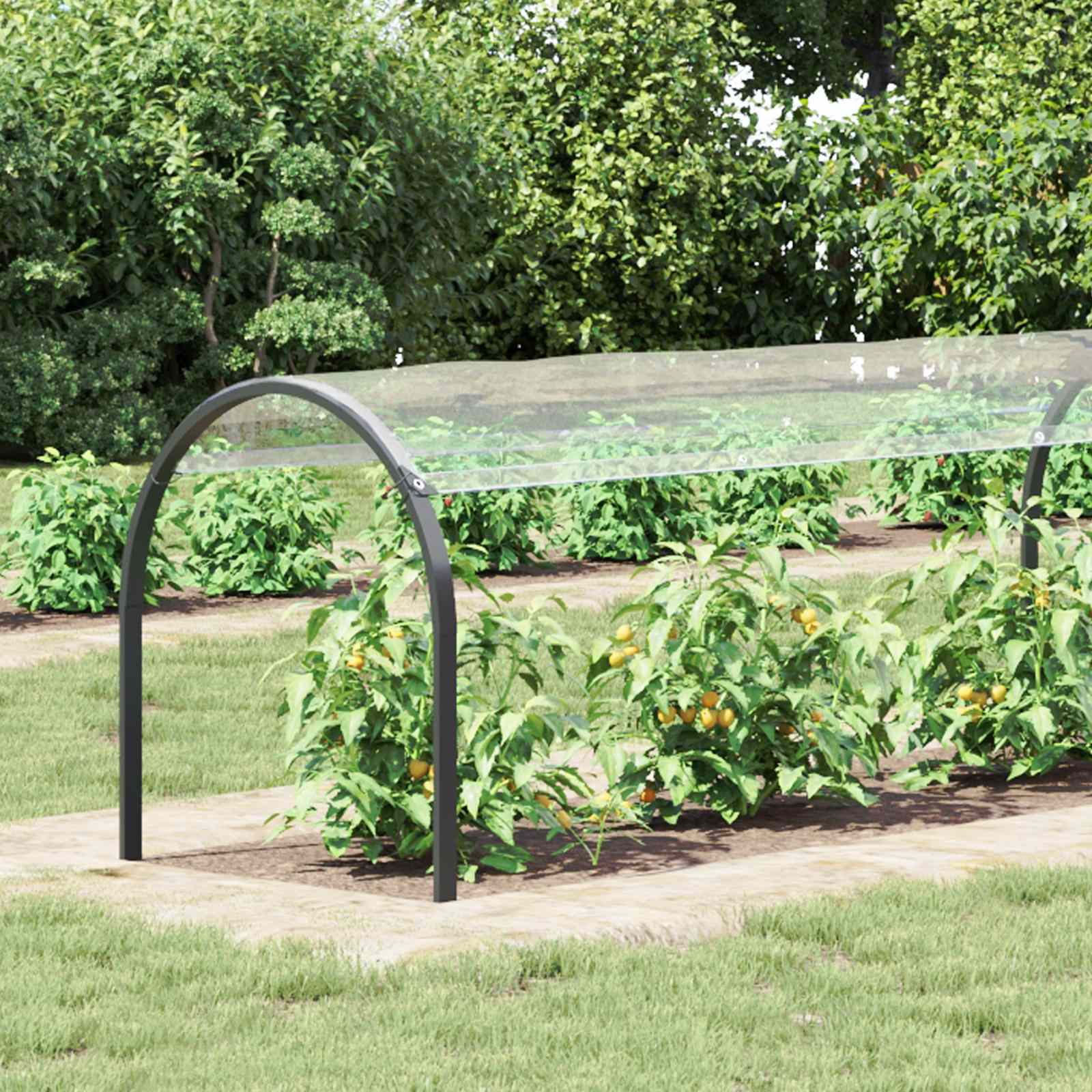 Transparent Plant Cover 1 x 12 m PVC
