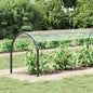Cobertura para plantas Transparente 1 x 12 m PVC