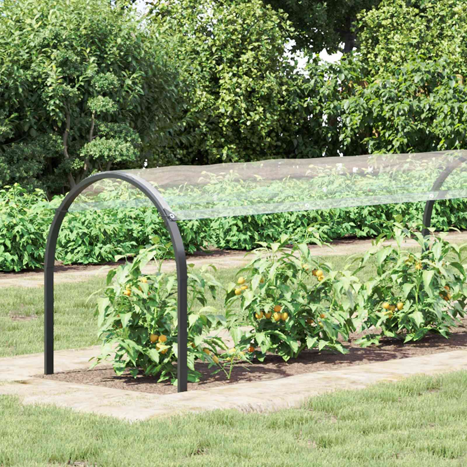 Transparent Plant Cover 1 x 12 m PVC