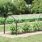 Cobertura para plantas Transparente 1 x 12 m PVC