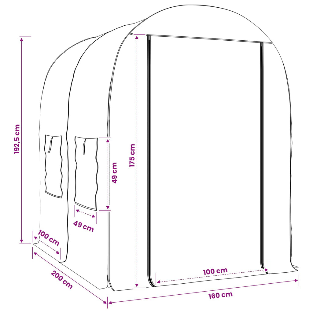 Invernadero con Estructura 160 x 200 x 192,5 cm PVC