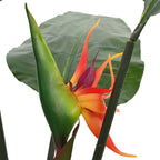 Planta artificial de Strelitzia Verde 70 x 18 x 155 cm