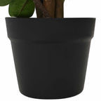 Planta Ficus Artificial Verde 73 x 16 x 60 cm Tela y madera