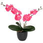 Planta de Orquídea Artificial Rojo 36 x 10 x 30 cm