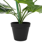 Planta artificial de Strelitzia Verde 65 x 13 x 55 cm