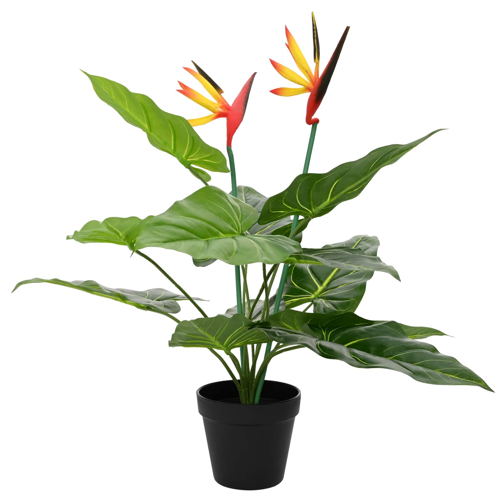 Planta artificial de Strelitzia Verde 65 x 13 x 55 cm