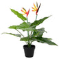 Planta artificial de Strelitzia Verde 65 x 13 x 55 cm