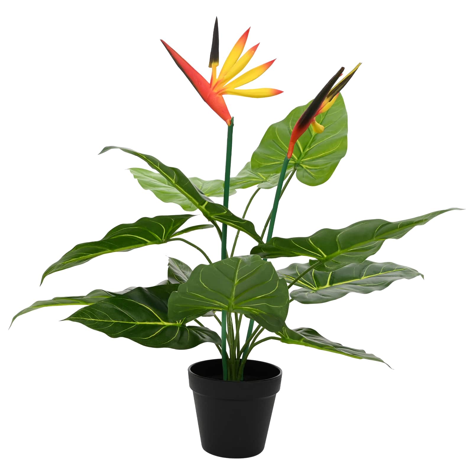 Planta artificial de Strelitzia Verde 65 x 13 x 55 cm