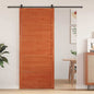 Puerta Corrediza Blanco 100 x 2,5 x 208 cm