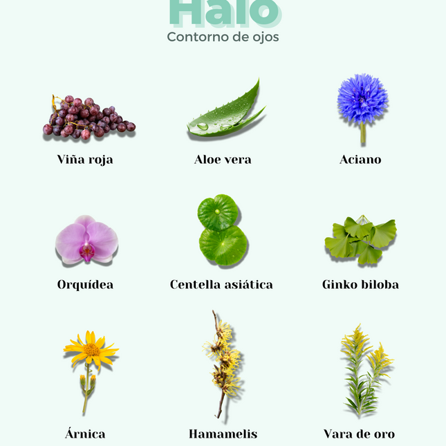 Contorno de Ojos ECO HALO