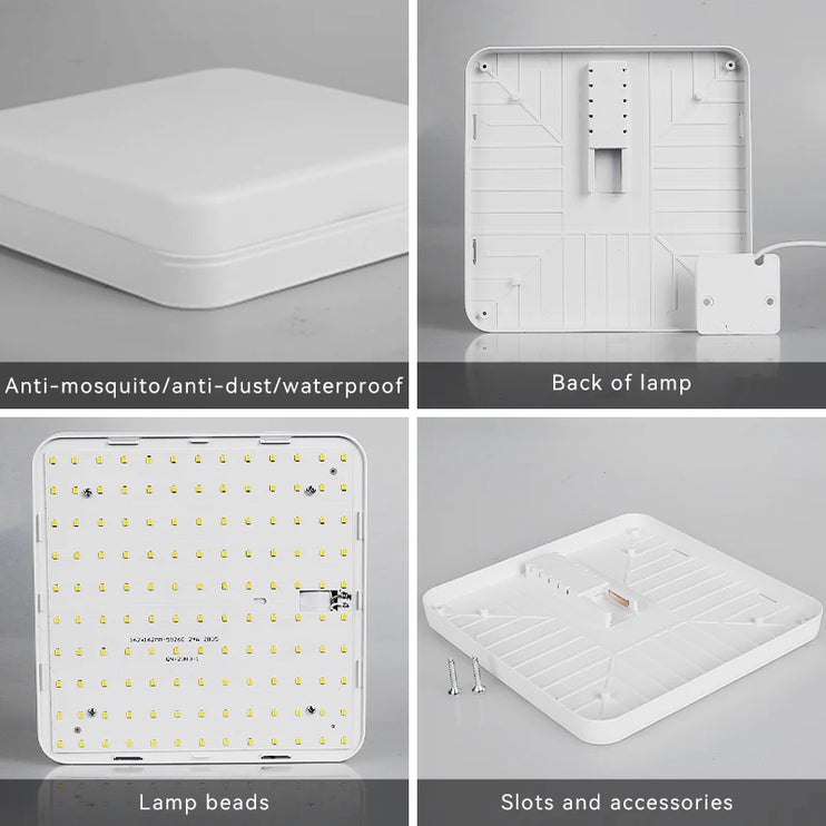 220V LED Ceiling Lamp