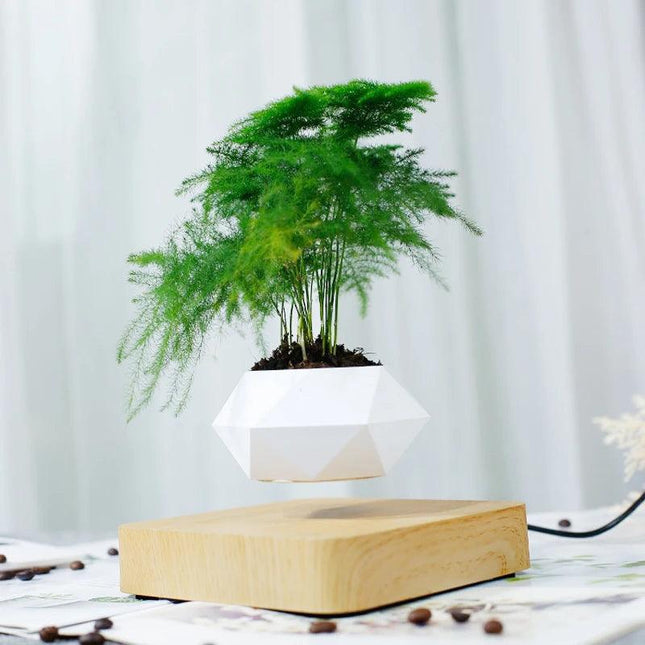 Decorative Magnetic Suspension Floating Planter