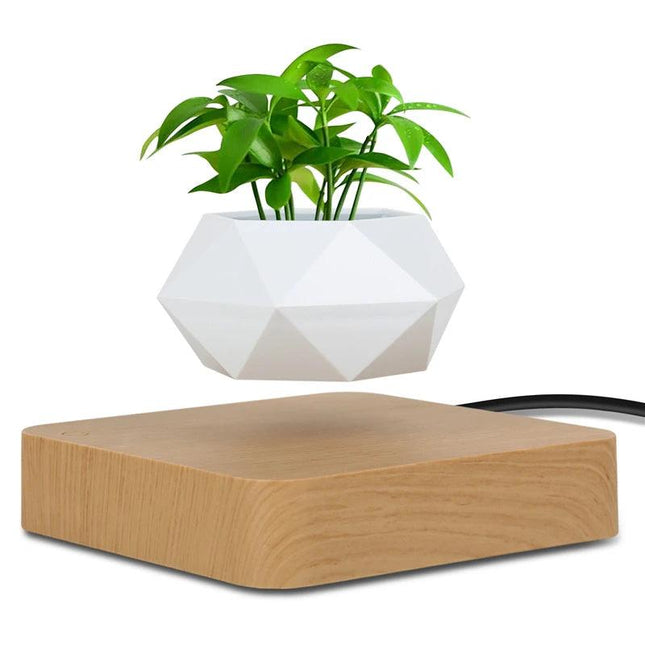 Decorative Magnetic Suspension Floating Planter