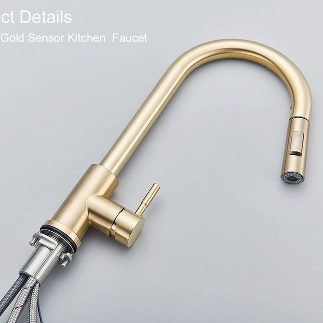 Grifo de cocina con doble función y salida retráctilGrifosHardware > Plumbing > Plumbing Fixtures > Faucets > Kitchen Sink Faucets