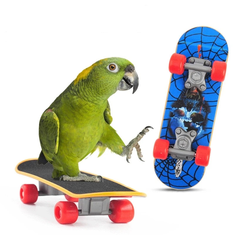 Skateboard para pajarosJuguetes